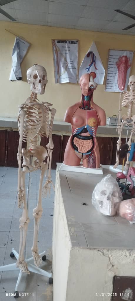 Mountains in the Clouds